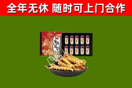 神农架回收冬虫夏草价格