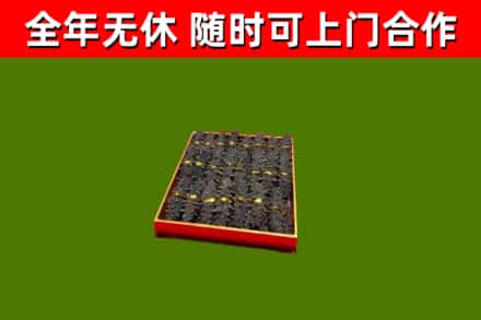 神农架回收海参